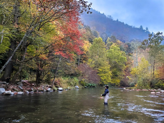 Parker Bruer mid-cast while fly fishing for trout on in Western North Carolina