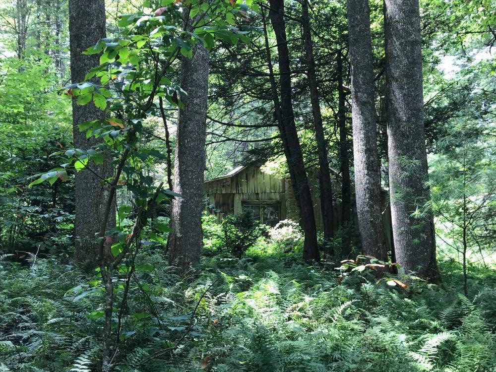 Lost Cove main house