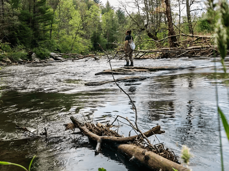 Fly Fishing the South Toe&nbsp;River